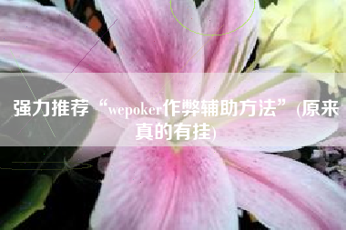 强力推荐“wepoker作弊辅助方法	”(原来真的有挂)