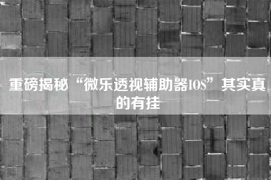 重磅揭秘“微乐透视辅助器IOS”其实真的有挂