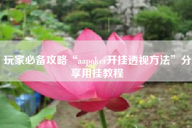 玩家必备攻略“aapoker开挂透视方法”分享用挂教程