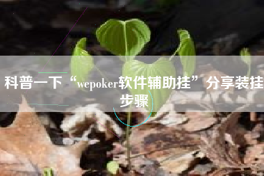 科普一下“wepoker软件辅助挂	”分享装挂步骤