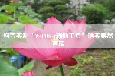 科普实测“WePOKer辅助工具”确实果然有挂