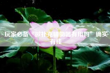 玩家必备“微扑克辅助器有用吗”确实有挂