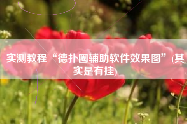 实测教程“德扑圈辅助软件效果图	”(其实是有挂)