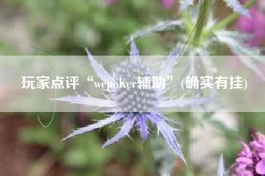 玩家点评“wepoKer辅助	”(确实有挂)