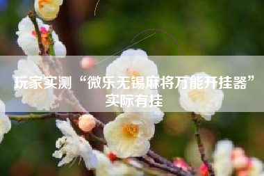 玩家实测“微乐无锡麻将万能开挂器”实际有挂