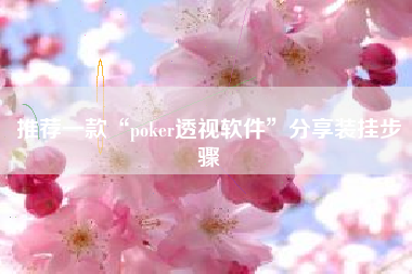 推荐一款“poker透视软件”分享装挂步骤
