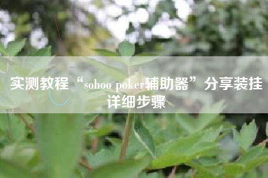 实测教程“sohoo poker辅助器	”分享装挂详细步骤