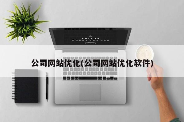 公司网站优化(公司网站优化软件)