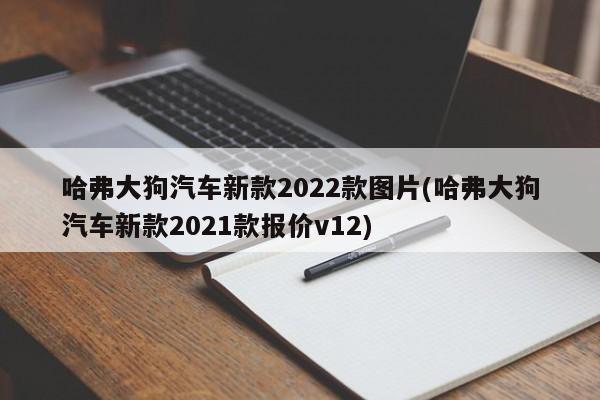 哈弗大狗汽车新款2022款图片(哈弗大狗汽车新款2021款报价v12)