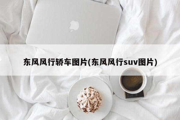 东风风行轿车图片(东风风行suv图片)