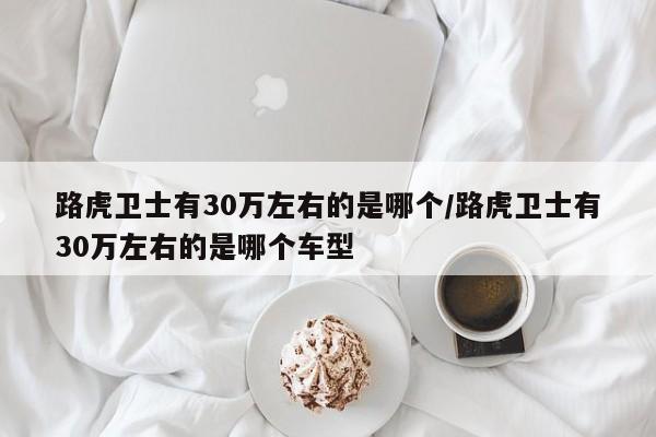 路虎卫士有30万左右的是哪个/路虎卫士有30万左右的是哪个车型