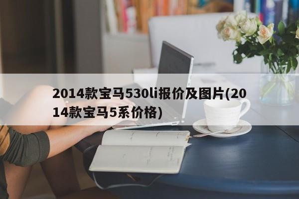 2014款宝马530li报价及图片(2014款宝马5系价格)