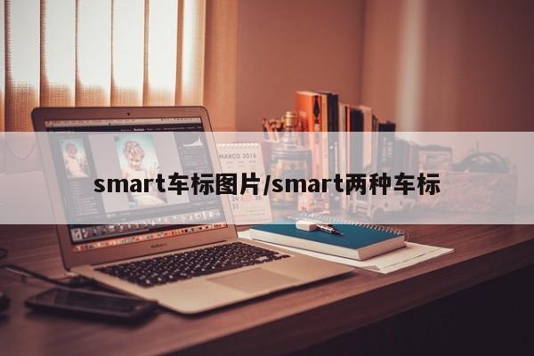smart车标图片/smart两种车标