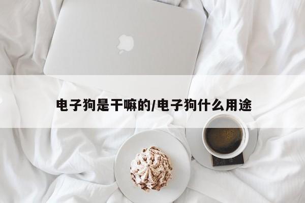 电子狗是干嘛的/电子狗什么用途