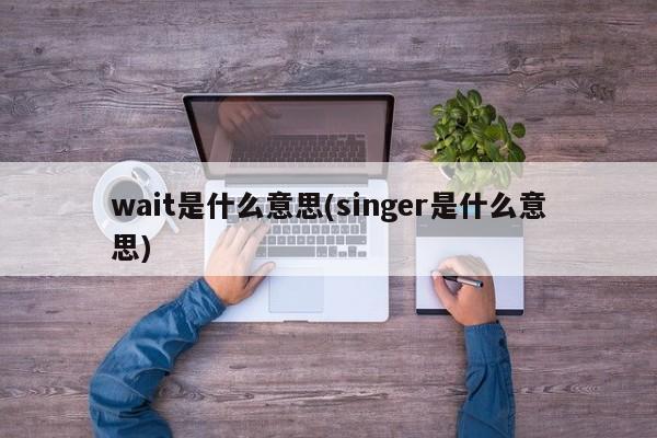 wait是什么意思(singer是什么意思)
